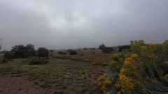 Foggy-Eldorado-Morning-Action4-10-12-2025-vlcsnap