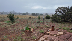 Foggy-Morning-1-Pocket3-06-22-2024