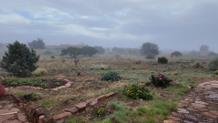 Foggy-Morning-3-Pocket3-06-22-2024