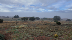 Foggy-Morning-6-Pocket3-06-22-2024