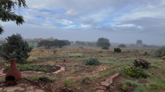 Foggy-Morning-7-Pocket3-06-22-2024