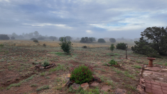 Foggy-Morning-8-Pocket3-06-22-2024