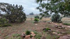 Foggy-Morning-Pocket3-06-22-2024