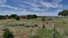 P-Mode-Standard-AutoND-Edit-Highlights-75-P1120254