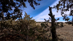 AcePro2-01-22-2026-VID_20260122_132755_002.mp4-vlcsnap-00001