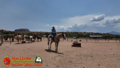 Ghost-Ranch-07-06-2026-Pocket3-Action4_000031_01