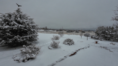 Snowy-Afternoon-01-09-2026-Action4-DJI_20260109143520_0002_D_000004_01