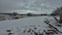 Snowy-Afternoon-01-09-2026-Action4-DJI_20260109143659_0004_D_000023_04