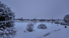 Snowy-Morning-01-09-2026-Pocket3-vlcsnap-00002