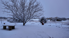 Snowy-Morning-01-09-2026-Pocket3-vlcsnap-00004