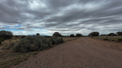 cap_DJI_20260529082440_0001_D_000155_01
