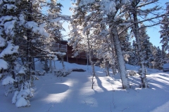 lots_of_snow