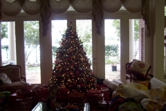 miser_tree