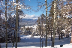 pretty_view