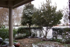 snow_in_houston