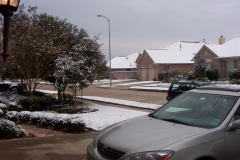 white_christmas_in_houston