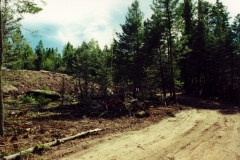 clearing