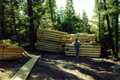logs2