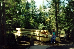 logs3