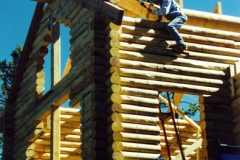 roof1