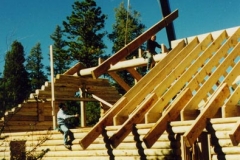 roof3