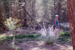 paulette_gardening