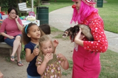 OLYMPUS DIGITAL CAMERA