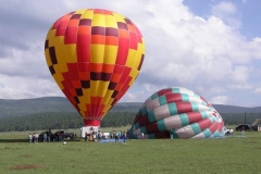 AF_2006_2