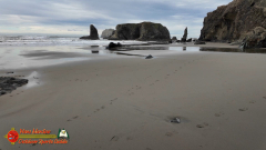 Bandon-OR-Beaches-Sea-Stacks-Caves-Wizards-Hat-Pocket3-01-20-2024_000144_03