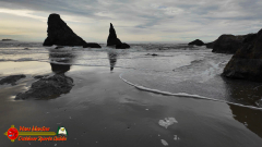 Bandon-OR-Beaches-Sea-Stacks-Caves-Wizards-Hat-Pocket3-01-20-2024_000210_05