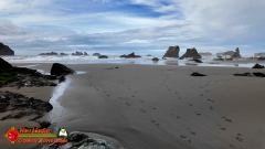 Bandon-OR-Beaches-Sea-Stacks-Caves-Wizards-Hat-Pocket3-01-20-2024_000758_19