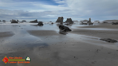 Bandon-OR-Beaches-Sea-Stacks-Caves-Wizards-Hat-Pocket3-01-20-2024_000822_20
