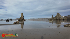 Bandon-OR-Beaches-Sea-Stacks-Caves-Wizards-Hat-Pocket3-01-20-2024_000920_25