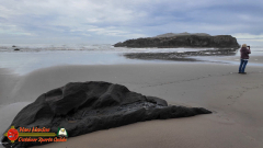 Bandon-OR-Beaches-Sea-Stacks-Pocket3-01-19-2024_000334_01