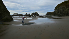 Bandon-OR-FZ2500-Paulette-01-18-2024-P1100909