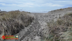 Bandon-OR-Insta360-Ace-Pro-01-20-2024_000248_01