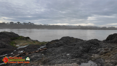 Coquille-River-Lighthouse-Bandon-Oregon-Pocket3-01-20-2024_000133_03