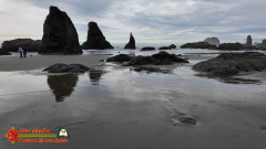 Oregon-Beaches-Pocket3-01-19-2024_000309_02