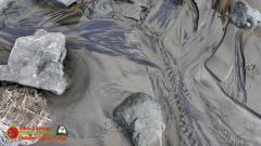 Oregon-Beaches-Pocket3-01-19-2024_000323_03