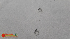 Oregon-Beaches-Pocket3-01-19-2024_000336_04