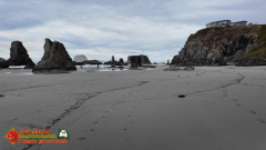 Oregon-Beaches-Pocket3-01-19-2024_000403_07