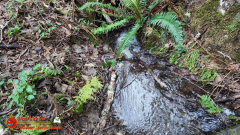 Secret-Beach-Bandon-OR-Pocket3-01-18-2024_000016_02