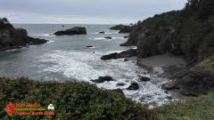 Secret-Beach-Bandon-OR-Pocket3-01-18-2024_000514_06