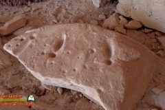 Bears-Ears-Comb-Ridge-Cold-Spring-Cave-Anasazi-Ruins-Pocket2-06-07-2021-mpv-shot0008