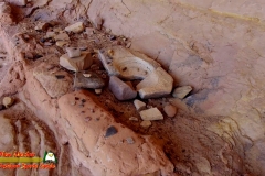 Bears-Ears-Comb-Ridge-Monarch-Cave-Anasazi-Ruins-Pocket2-mpv-shot0003
