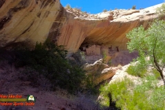 Bears-Ears-Comb-Ridge-Monarch-Cave-Anasazi-Ruins-Pocket2-mpv-shot0006