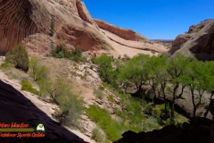 Bears-Ears-Comb-Ridge-Monarch-Cave-Anasazi-Ruins-Pocket2-mpv-shot0009