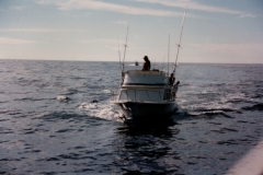 Back_to_Harbor