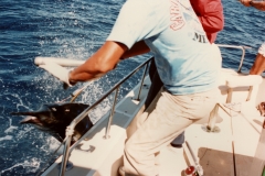 Pat_Fighting_Marlin_1