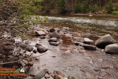 Aspen-Glade-Campground-Conejos-River-Osmo-Pocket-07-15-2020
